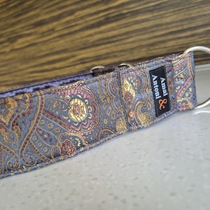 May include: A patterned dog collar with a silver metal ring. The collar features a paisley design in shades of blue, gold, and burgundy. The label reads "Amal & Antoni".