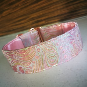 Martingale collar, Dog collar, Sighthound collar, Galgo collar, Greyhound collar, Saluki collar, dog collars,