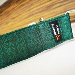 May include: A green dog collar with a black and orange label that reads "Amal & Antoni".