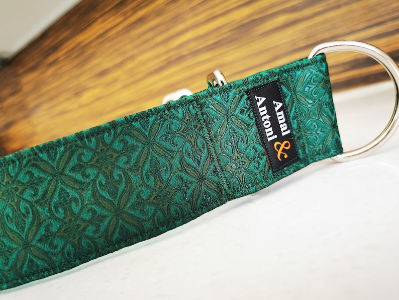 May include: A green dog collar with a black and orange label that reads "Amal & Antoni".