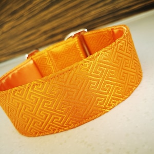 Martingale collar, Dog collar, Sighthound collar, Galgo collar, Greyhound collar, Saluki collar, dog collars, orange dog collar