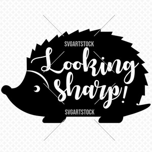 Looking Sharp! - funny hedgehog svg - vector - digital clipart, t-shirt design, instant download (svg, dxf, png)