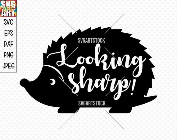 Looking Sharp Funny Hedgehog Svg Vector Digital Etsy