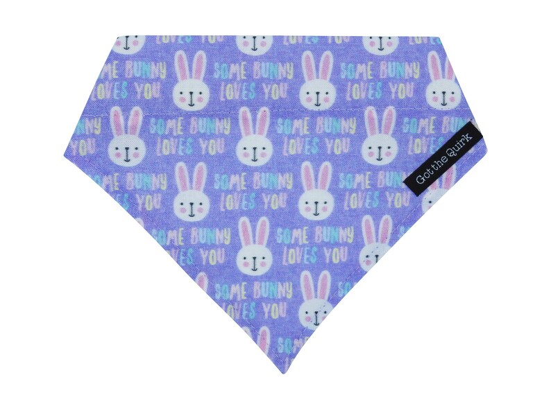 Slip on Cat Bandana Cat Bandana and Collar Set Easter Cat Bandana Cat Collar Fabric Cat Collar Some Bunny Loves You