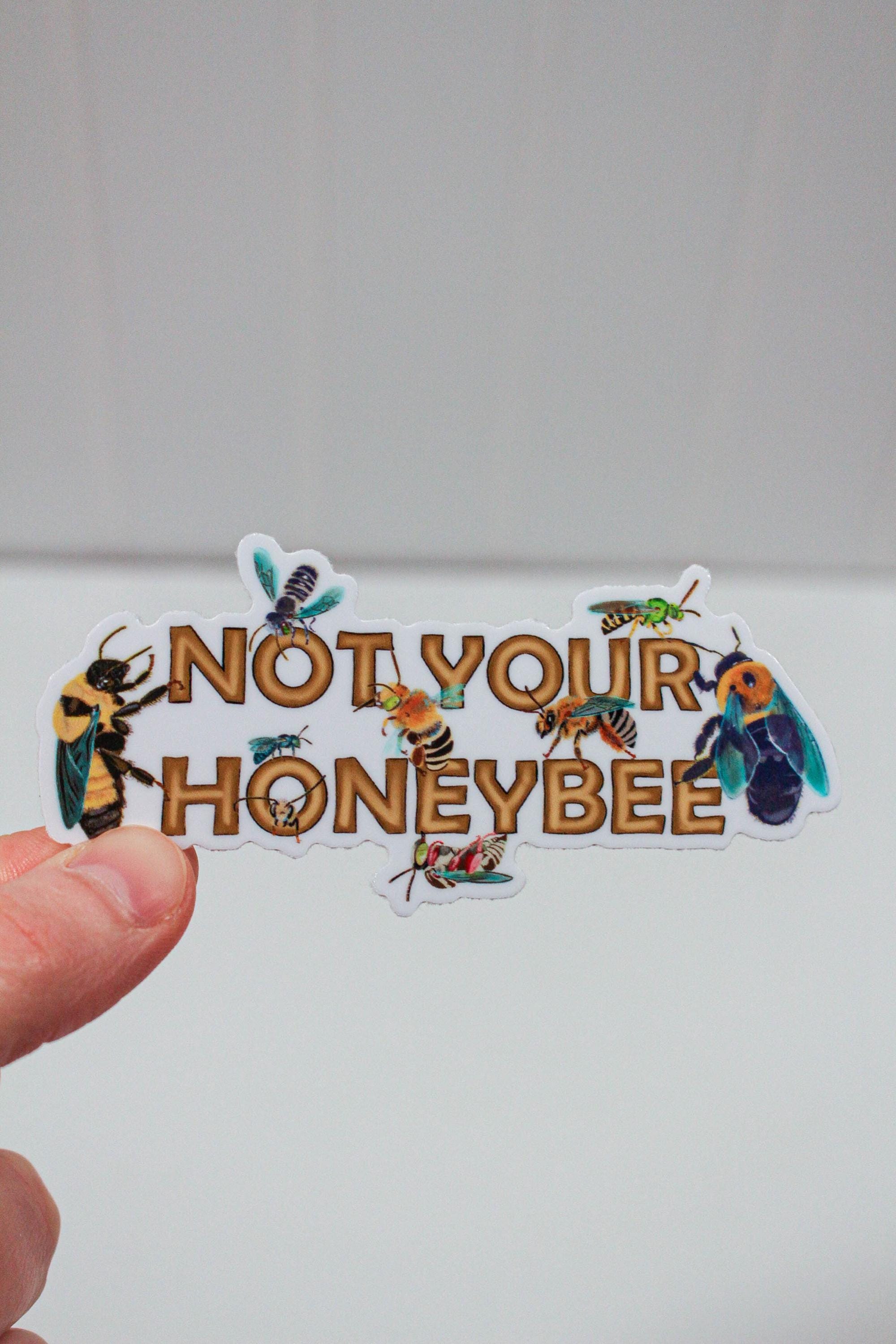 Native Bee Sticker, Pollinator Vinyl Decal, Entomology Art, Waterproof ...