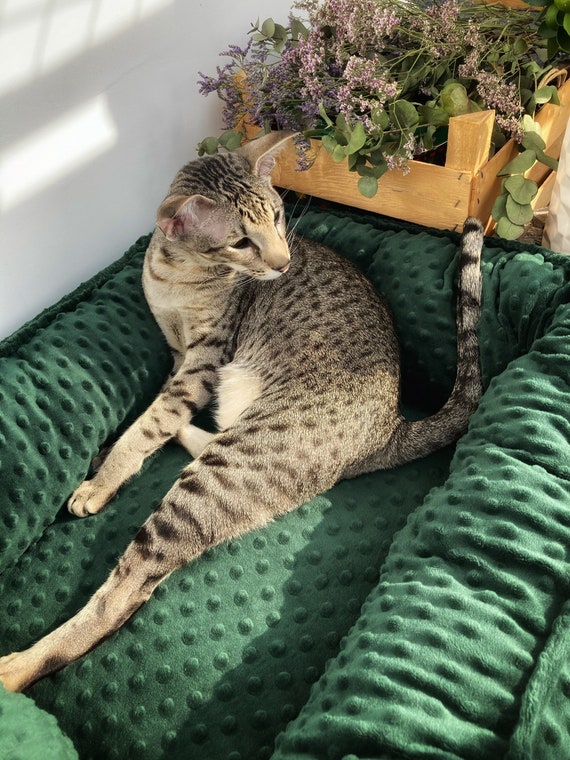 king size bed with dog insert