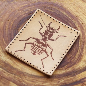 Op de afbeelding: Een bruine leren patch met een gedetailleerde illustratie van een kever in bruine inkt. De patch heeft een gestikte rand.