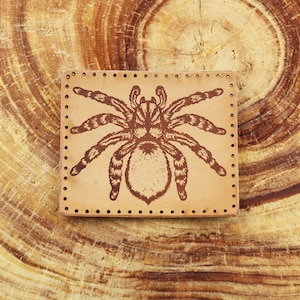 May include: A brown leather patch with a detailed illustration of a brown and black spider.