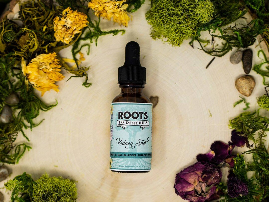Kidney Shot Kidney and Gallbladder Support Herbal Tincture Etsy
