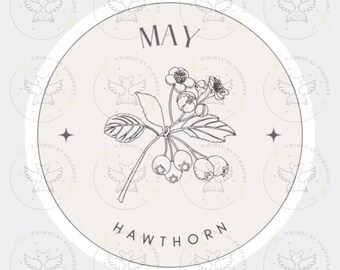 May Hawthorn Birth Flower SVG, May Hawthorn Birth Flower PNG, Instant Download, May Birth Flower, Hawthorn Birth Flower