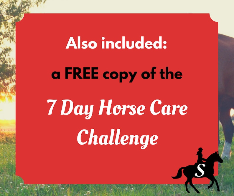Savvy Guide to DIY Horse Care Ebook Tips and Recipes for Natural