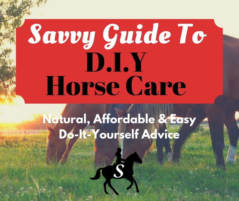 Savvy Guide to DIY Horse Care Ebook Tips and Recipes for Natural