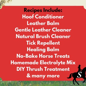 Savvy Guide to DIY Horse Care eBook Tips and Recipes for Natural, Homemade Horse Products by Savvy Horsewoman image 2