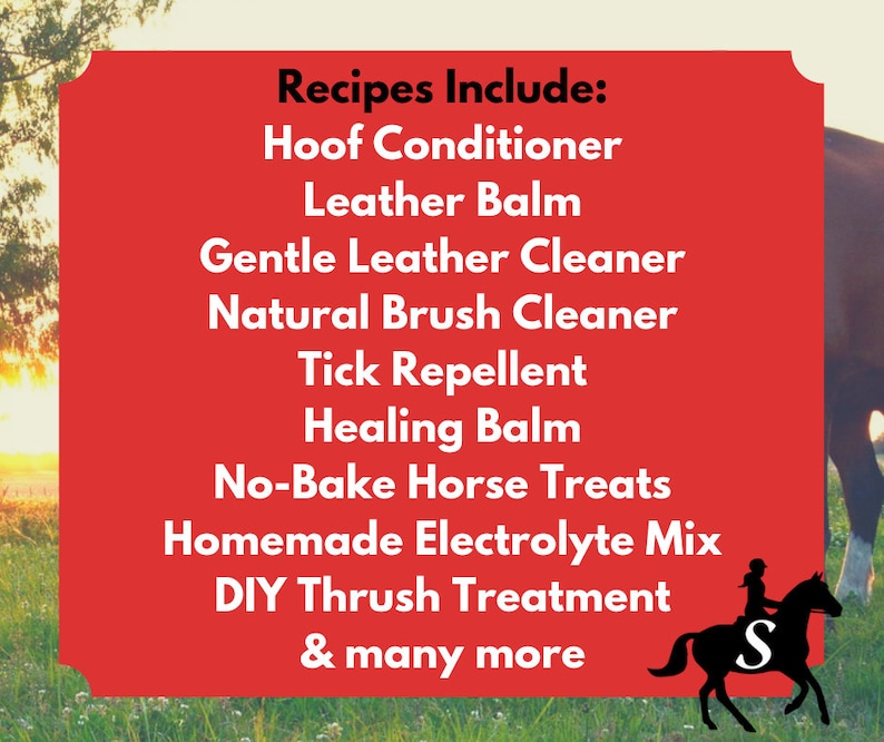 Savvy Guide to DIY Horse Care eBook Tips and Recipes for image 2