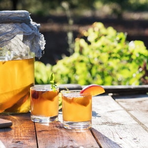 Kombucha Scoby With Pellicle, Starter Culture, Brewed With Organic Tea & Organic Cane Sugar, Probiotic Culture To Make Your Own Kombucha!
