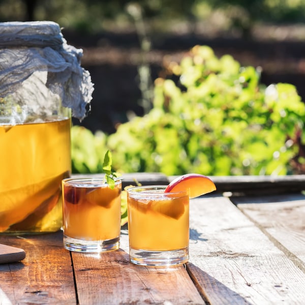 Kombucha Scoby With Pellicle, Starter Culture, Brewed With Organic Tea & Organic Cane Sugar, Probiotic Culture To Make Your Own Kombucha!