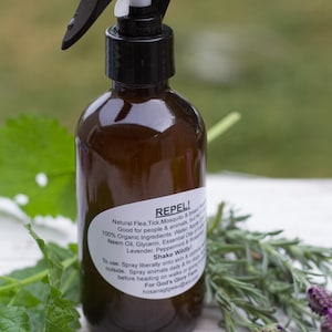 Natural Multi Purpose Cleaner With Organic Rosemary & Lavender Essential Oils, 16 ounce Amber Glass Spray Bottle, And Refill Option