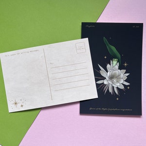 夜の花カエルのプリント | ヴィンテージ植物の花 4x6 プリント ポストカード