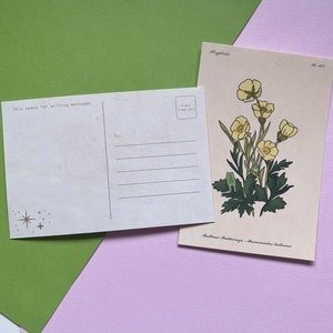 カエルと野花 | かわいいヴィンテージ植物カエルの花の4x6プリントポストカード