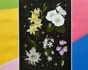 Night Flower Frog Art Print: Celestial Vintage Poster (11x17)
