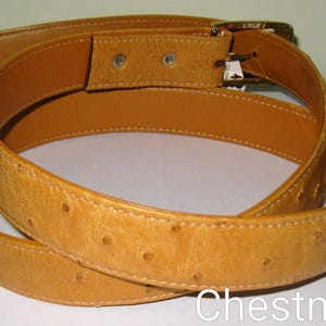 May include: A tan belt with a textured surface featuring small, evenly spaced circular indentations. The belt includes a gold-toned metal buckle and a smooth, lighter tan interior lining. The word Chestnut is printed in white at the bottom right.