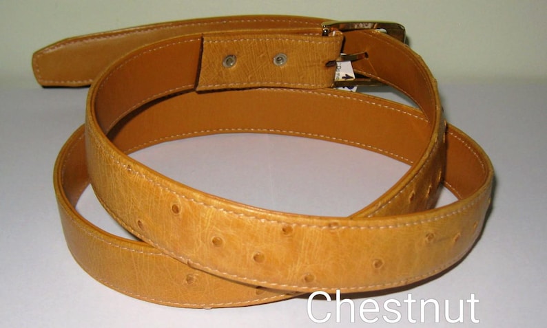 May include: A tan belt with a textured surface featuring small, evenly spaced circular indentations. The belt includes a gold-toned metal buckle and a smooth, lighter tan interior lining. The word Chestnut is printed in white at the bottom right.