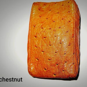 May include: A rectangular pouch in a vibrant chestnut brown colour featuring a distinct textured surface with small, evenly spaced circular indentations throughout the exterior. The word chestnut is printed in black at the bottom left.