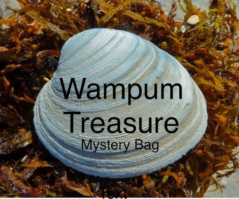 Mystery Quahog Gift
