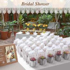May include: A bridal shower table setting with white tablecloths and a variety of small potted succulents in silver pots. The succulents are wrapped in white tulle bags with thank you tags. The table is set with a framed photo of a couple and a lace trim.