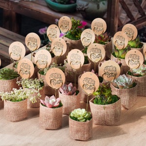 New Live Succulent Favors With Tags, 5/10/24/30/40/50, DIY Your Own Plant Gifts. Wedding Shower Favor/Bridal Shower Favor/Baby Shower Favor