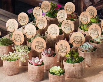 New Live Succulent Favors With Tags, 5/10/24/30/40/50, DIY Your Own Plant Gifts. Wedding Shower Favor/Bridal Shower Favor/Baby Shower Favor