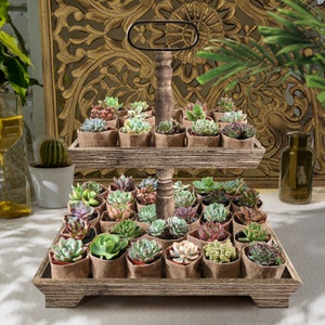 May include: Two-tier wooden stand with a rustic finish, featuring a black metal handle. The stand is filled with small succulent plants in burlap pots.