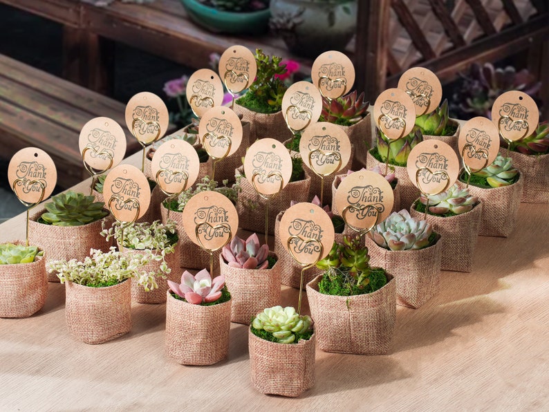 24/50 Packs Succulent FavorWedding Party Favor/Baby Shower Favor/Bridal Shower Favor Live Succulent PlantBurlap WrapsTags image 6