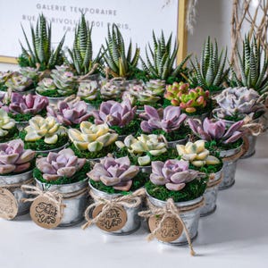 Bulk Succulent Favor--Wedding Party Favor,Bridal Shower Favor,Baby Shower Favor--Live Succulent Plant+Mini Buckets+Accessaries