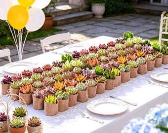 succulent svg Cactus Succulents SVG Cut File  Gardenias Art Shop