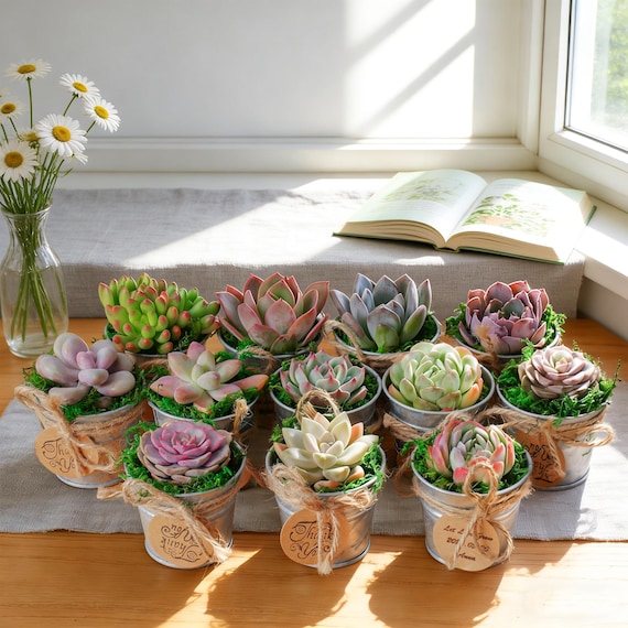 bamboo plant stand indoor Bamboo Plant Stand main image 0
