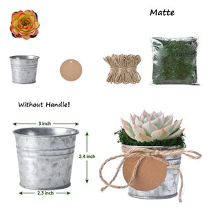 5/10/20/25/30 Bulk Succulent FavorWedding Party Favor,Bridal Shower Favor,Baby Shower FavorLive Succulent PlantMini BucketsAccessaries image 9