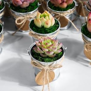 5/10/20/25/30 Bulk Succulent FavorWedding Party Favor,Bridal Shower Favor,Baby Shower FavorLive Succulent PlantMini BucketsAccessaries zdjęcie 2