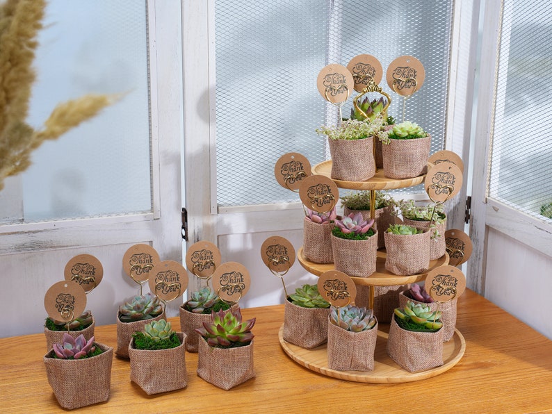 24/50 Packs Succulent FavorWedding Party Favor/Baby Shower Favor/Bridal Shower Favor Live Succulent PlantBurlap WrapsTags image 8