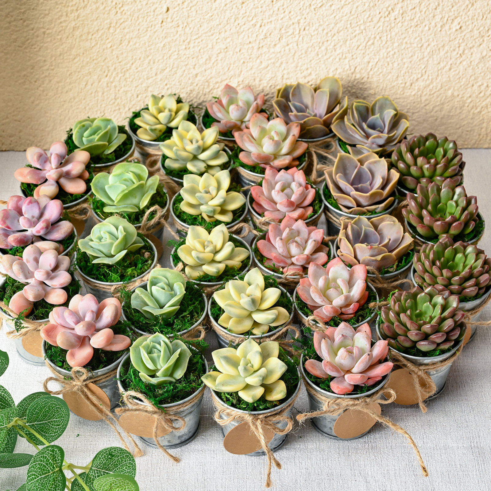 Candle Baby Shower Favors 60 Packs Succulents Mini Tin Bucket