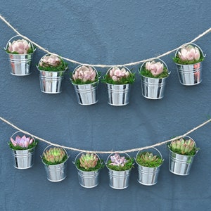 25 Packs Succulents in Mini Bucket DIY--Succulents+Bucket+Accessary--Green Party Favors,Garden Party Decor,Baby Shower Favors,Wedding Party