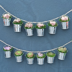 25 Packs Succulents in Mini Bucket DIY--Succulents+Bucket+Accessary--Green Party Favors,Garden Party Decor,Baby Shower Favors,Wedding Party