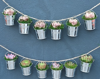 25 Packs Succulents in Mini Bucket DIY--Succulents+Bucket+Accessary--Green Party Favors,Garden Party Decor,Baby Shower Favors,Wedding Party