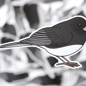 Dark Eyed Junco Bird Sticker Waterproof UV Stable Vinyl Matte 3 inch