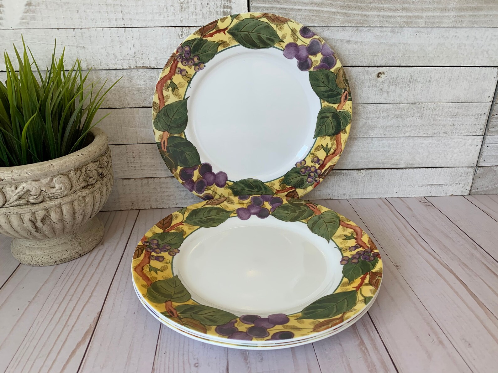 Corelle TUSCAN VINE 10.5'' Dinner Plates Set of 4. Etsy