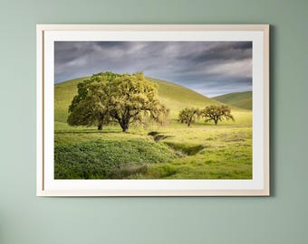 Stormy Oaks Print: Livermore California Landscape Photography, East Bay