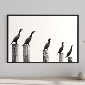 Birds photography print, Black and White Photography, Nature wall decor, OBX photography, Outer Banks artwork, OBX Gift Print for Bird Lover