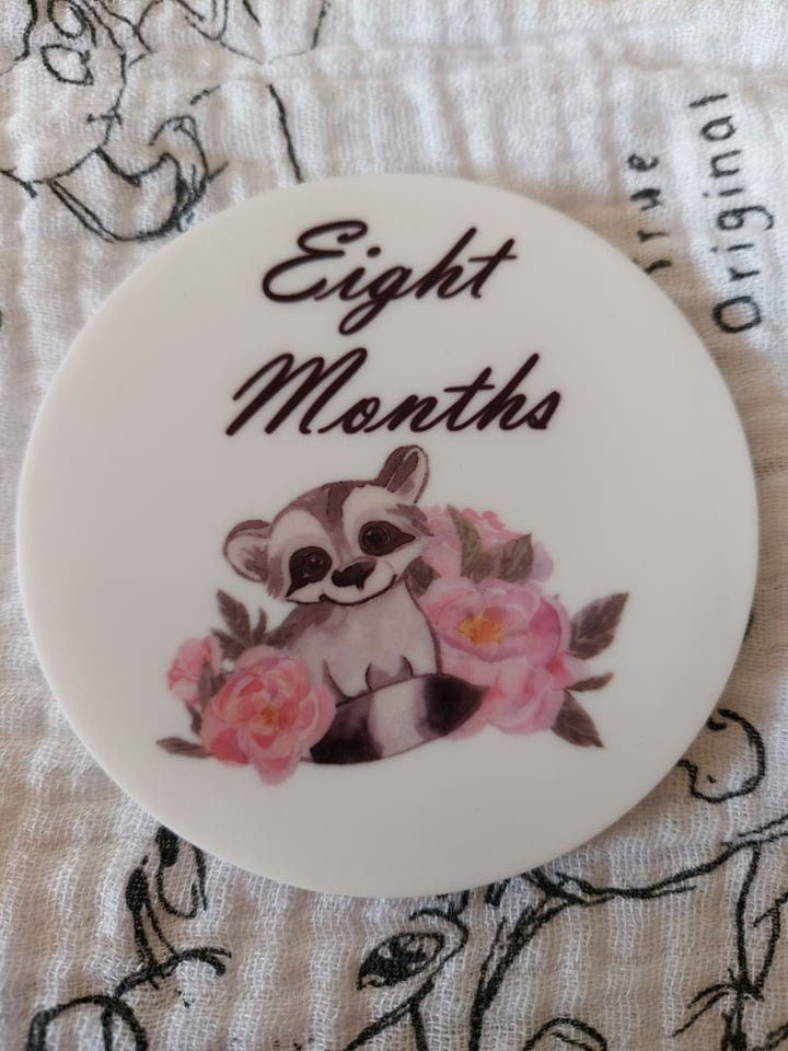 Baby milestone discs set of 12 cute animal acrylic colour picture memory