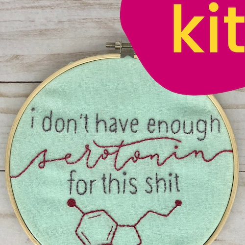 Serotonin Embroidery Kit Beginner Snarky Embroidery Kit Etsy