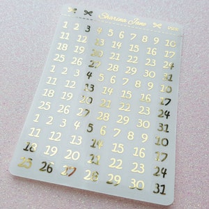 Clear foil Date Dots, Date Dot Planner Stickers, Clear Overlays, Calendar Stickers, Foiled Number Stickers, Foil Date Covers, RS010